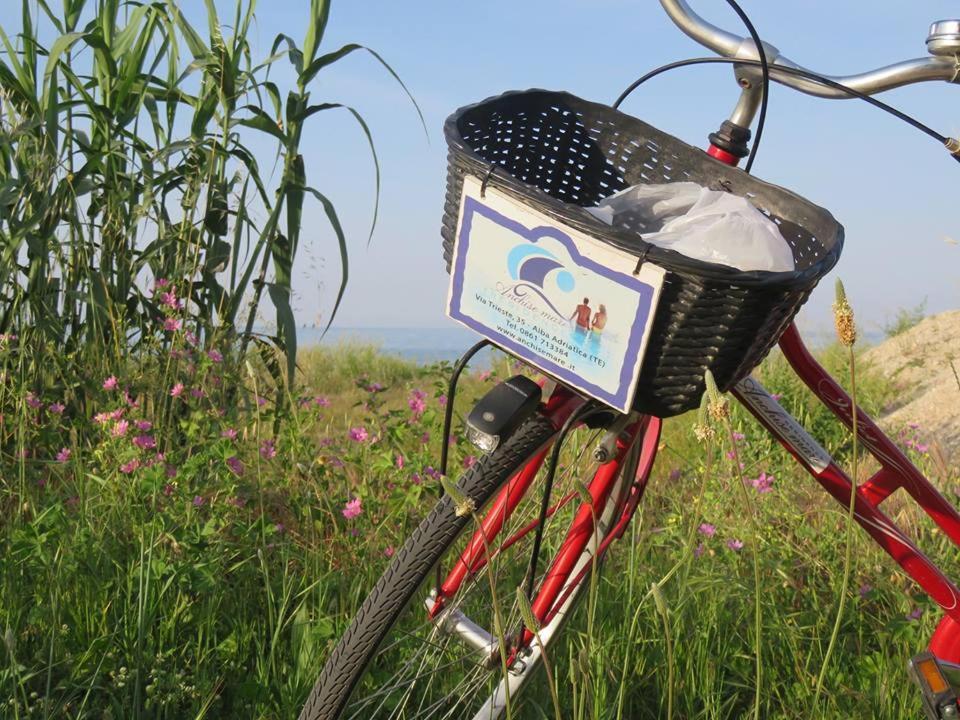 Residence Anchisemare Alba Adriatica Phòng bức ảnh
